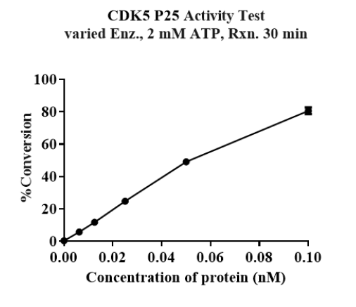 CDK5/p25 Protein