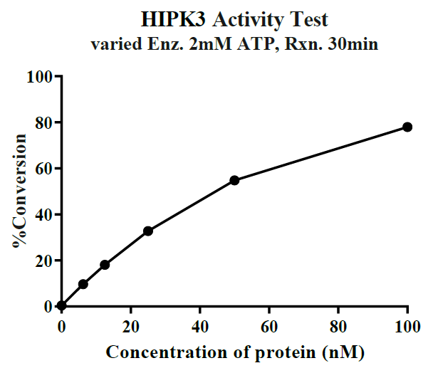 HIPK3 GST Tag Protein, Human