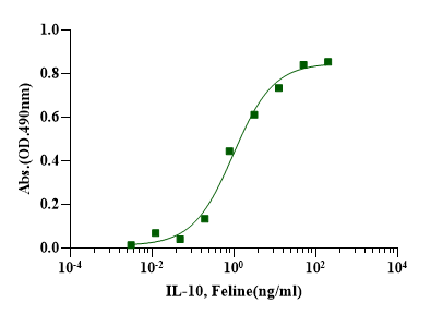 IL-10 Protein, Feline