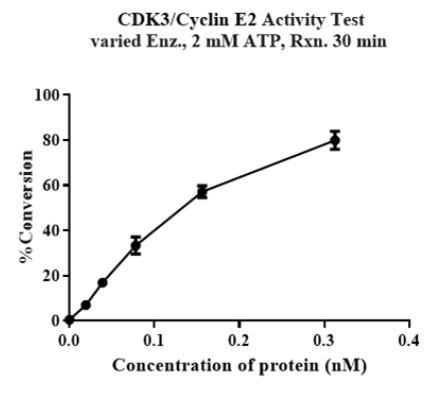 CDK3/Cyclin E2 Protein