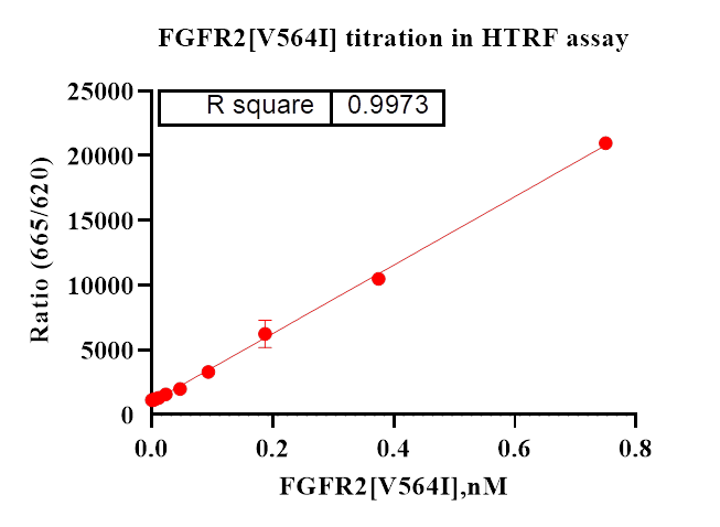 FGFR2[V564I] Protein