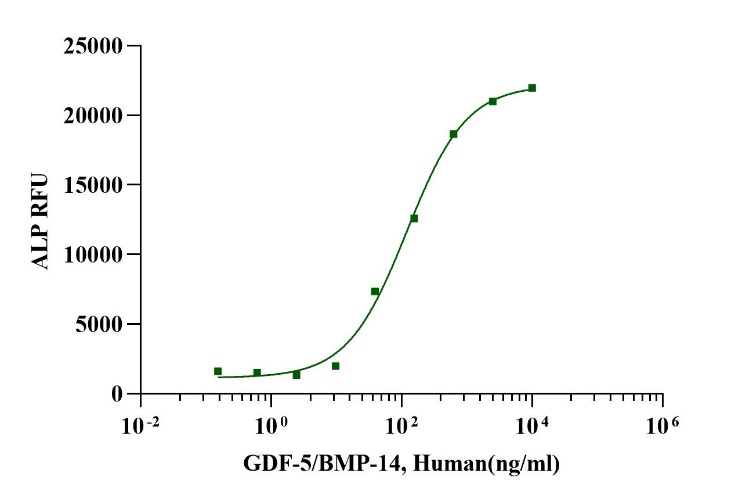 GDF-5/BMP-14 Protein, Human