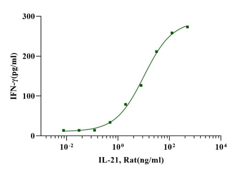 IL-21 Protein, Rat