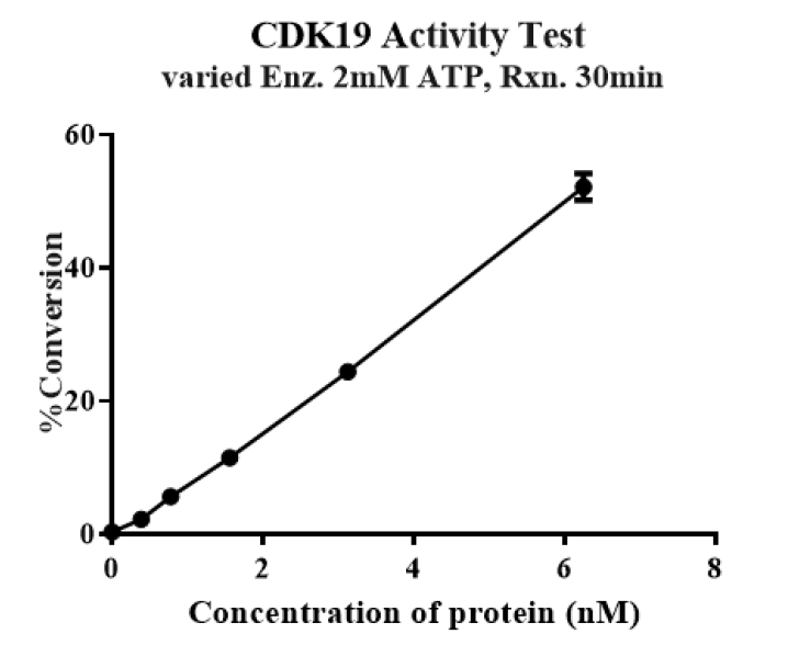 CDK19/Cyclin C/MED12 Protein