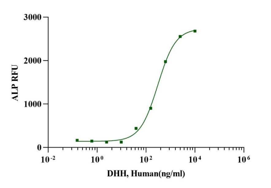 DHH Protein, Human