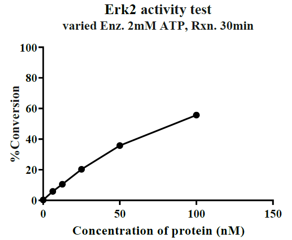 ERK2 Flag&His Tag Protein, Human
