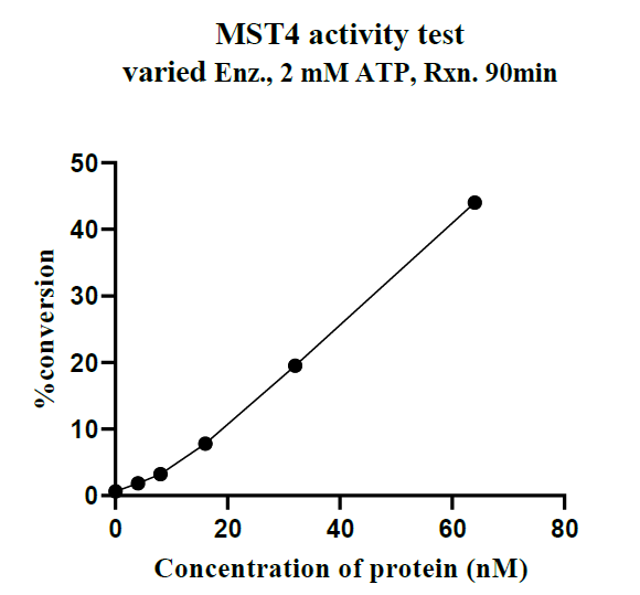 MST4 GST Tag Protein, Human