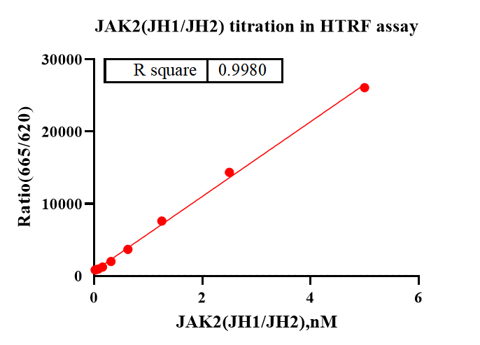 JAK2(JH1 JH2) Protein