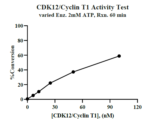 CDK12/Cyclin T1 Protein
