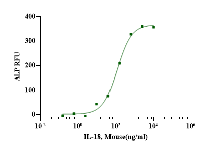 IL-18 Protein, Mouse