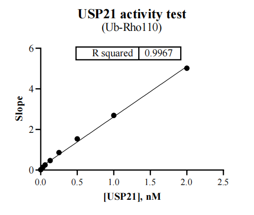 USP21 Protein