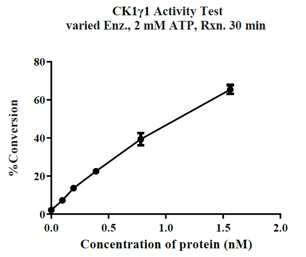 CSNK1G1(CK1γ1) GST Tag Protein, Human