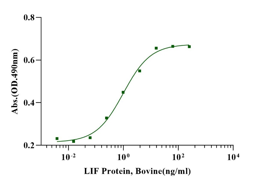 LIF Protein, Bovine