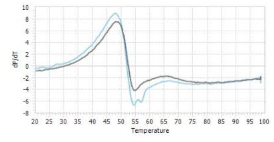 USP16 Protein