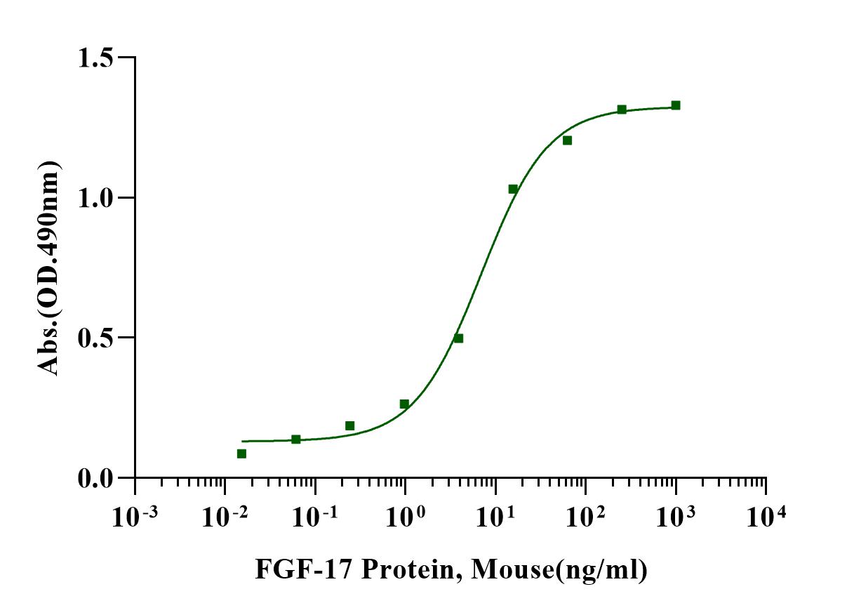 FGF-17 Protein, Mouse