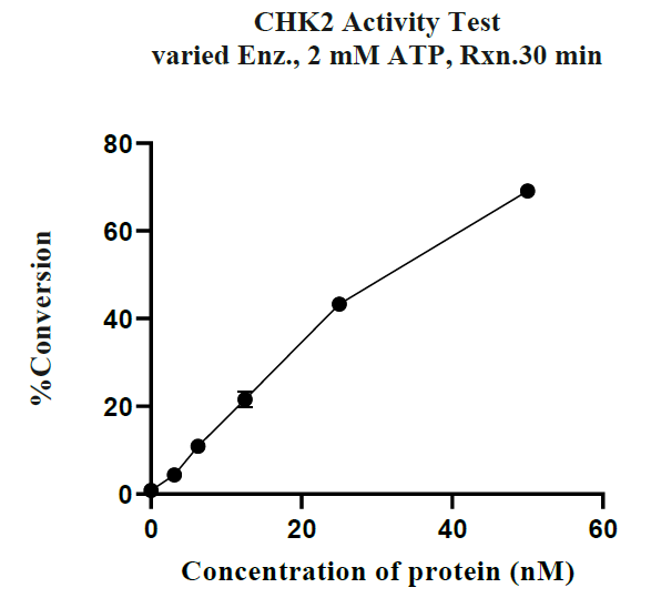 CHEK2(CHK2) GST Tag Protein, Human