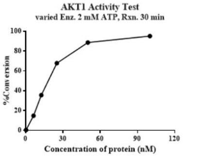 AKT1 (E17K) GST Tag Protein, Human