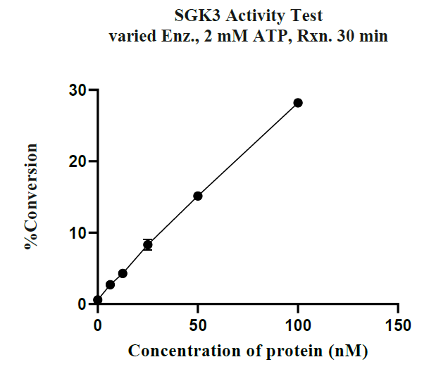 SGK3 GST Tag Protein, Human