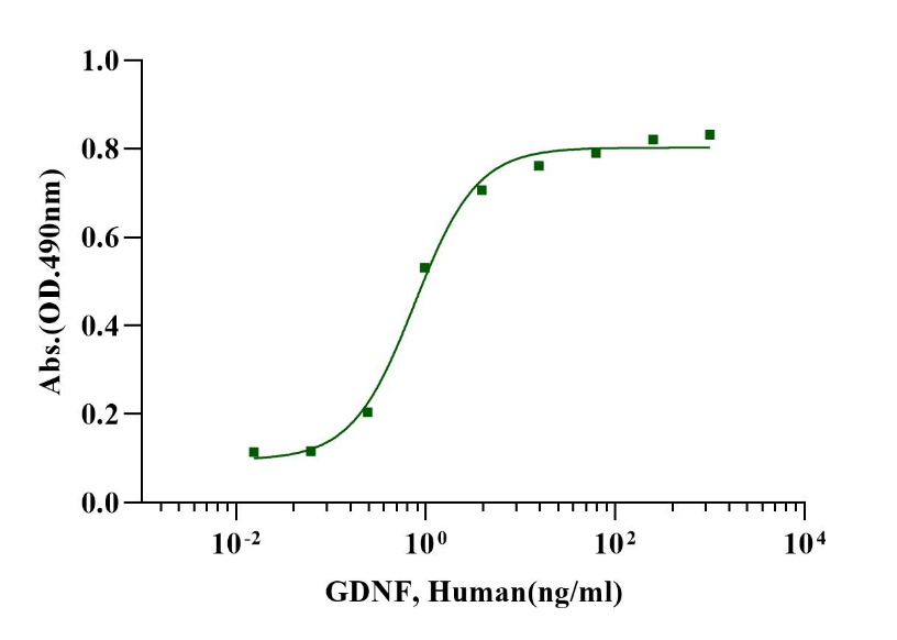 GDNF Protein, Human