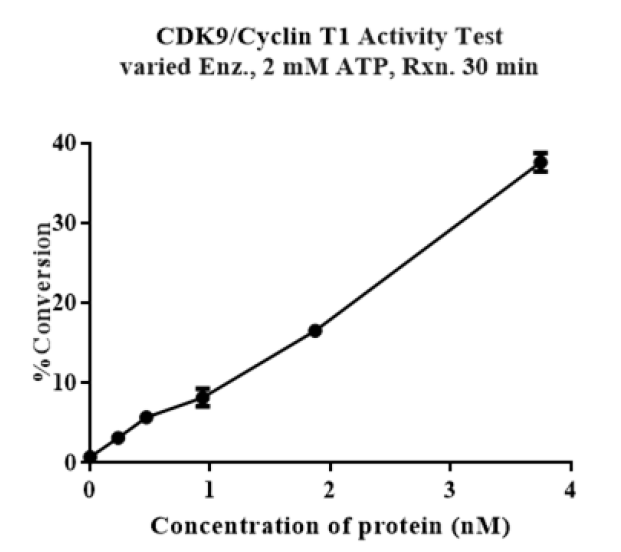 CDK9/Cyclin T1 Protein