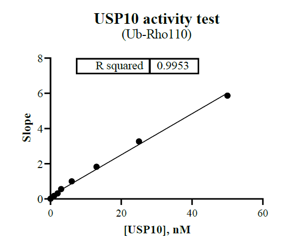 USP10 Protein