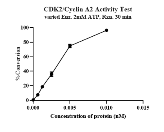 CDK2/Cyclin A2 Protein
