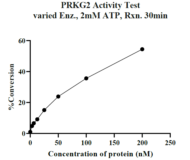 PRKG2 GST Tag Protein, Human