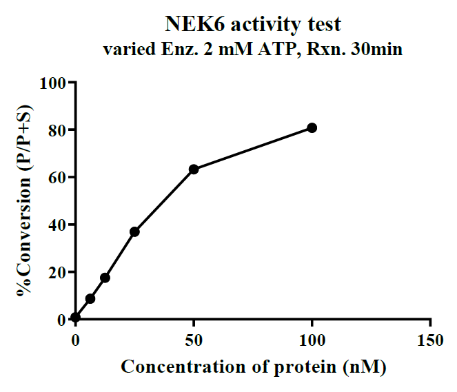 NEK6 GST Tag Protein, Human
