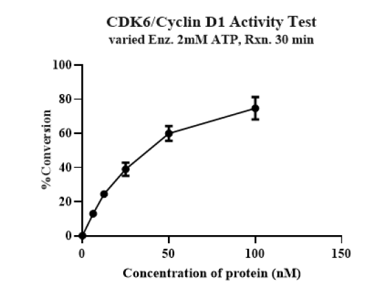 CDK6/Cyclin D1 Protein