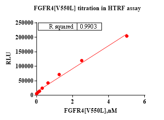 FGFR4[V550L] Protein