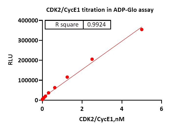 CDK2/CycE1 Protein