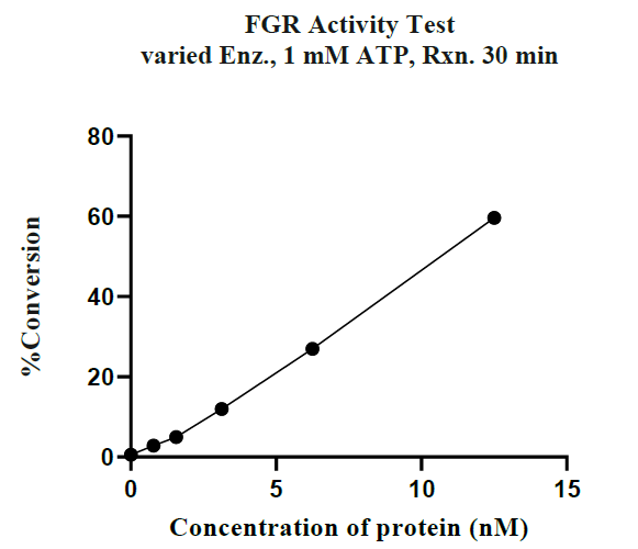 FGR GST Tag Protein, Human