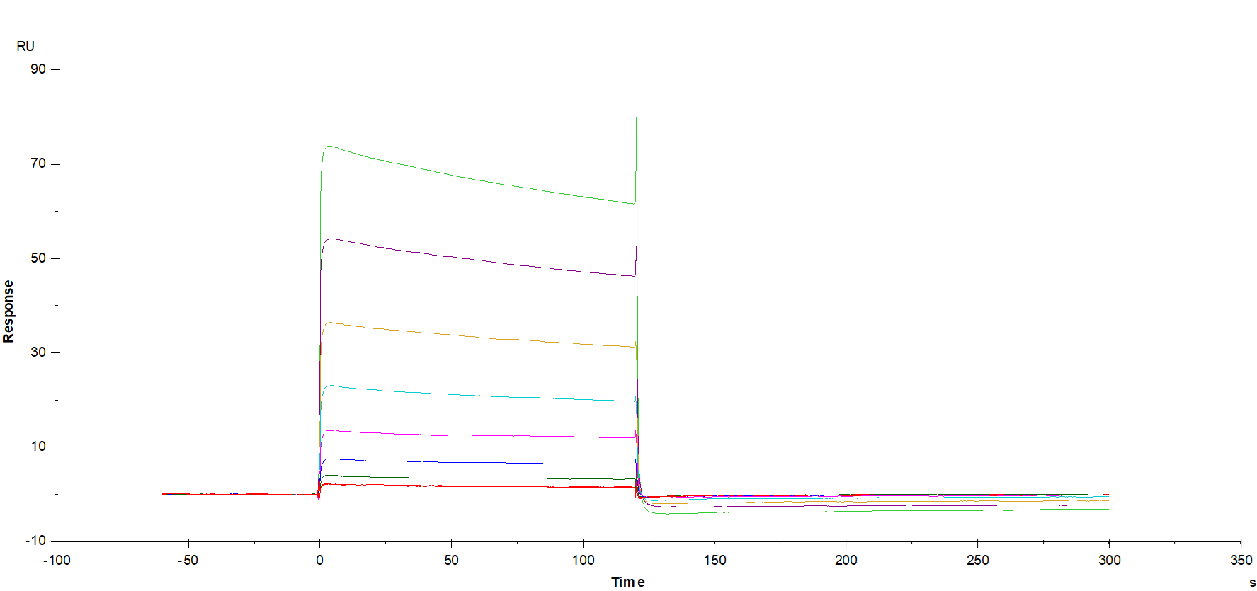 Fc γ RIIIb/CD16b(NA1) His Tag Protein, Human
