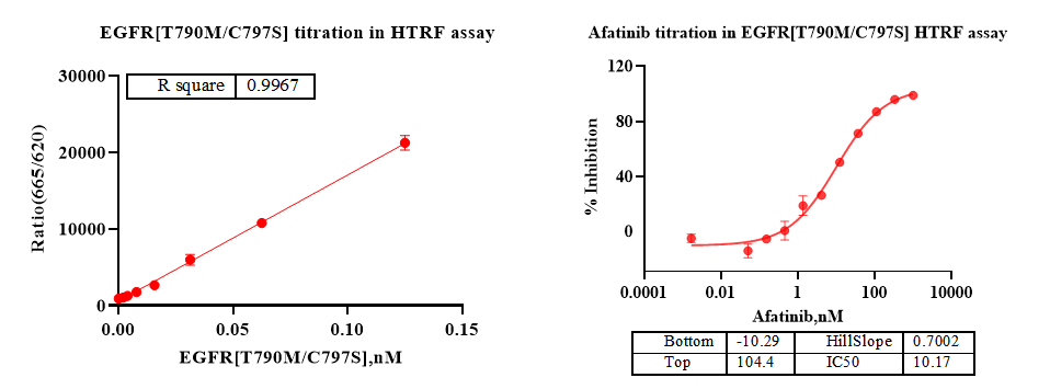 EGFR[T790M/C797S] Protein, Human