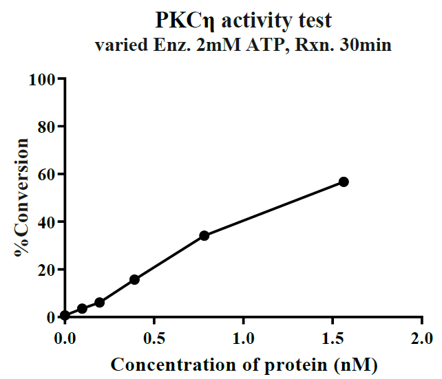 PRKCH(PKCη) GST Tag Protein, Human