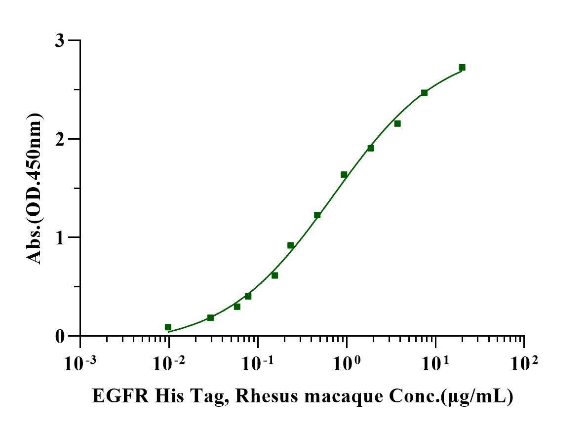 EGFR His Tag Protein, Rhesus macaque