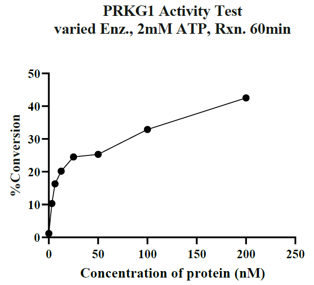 PRKG1 GST Tag Protein, Human