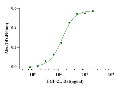FGF-21 Protein, Rat