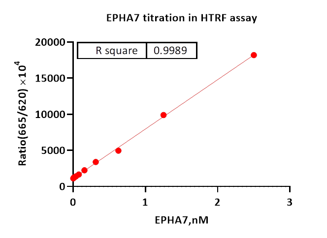 EPHA7 Protein