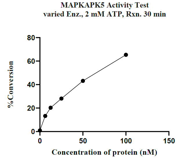 MAPKAPK5 GST Tag Protein, Human