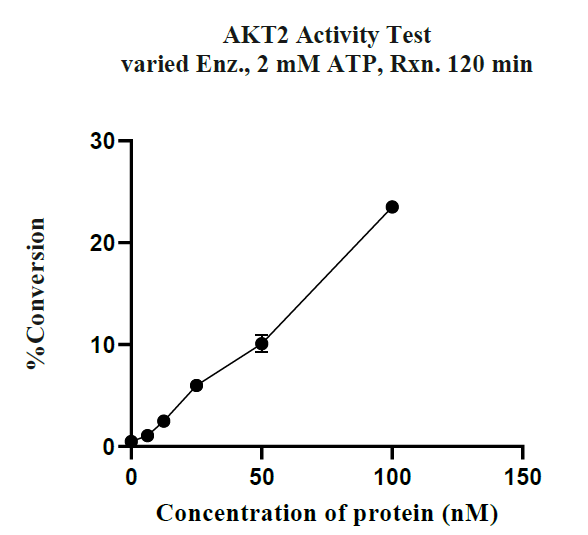 AKT2 GST Tag Protein, Human