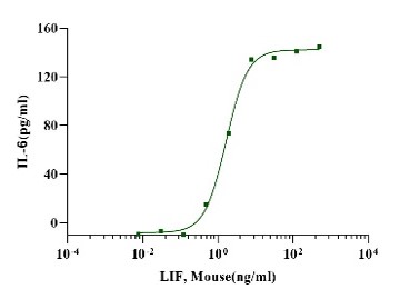LIF Protein, Mouse
