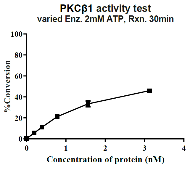 PKCβ1 GST Tag Protein, Human