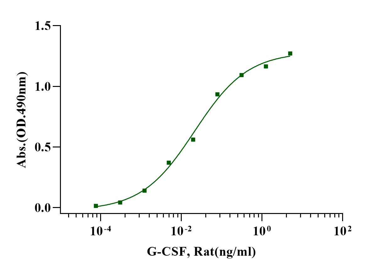 G-CSF Protein, Rat