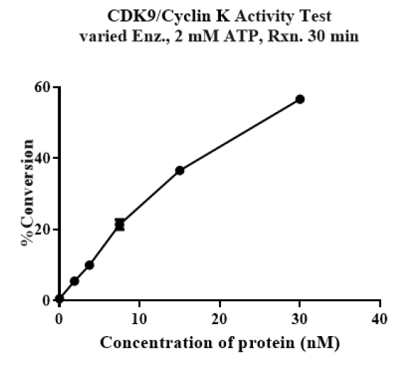 CDK9/Cyclin K Protein