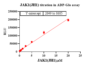 JAK1(JH1) Protein