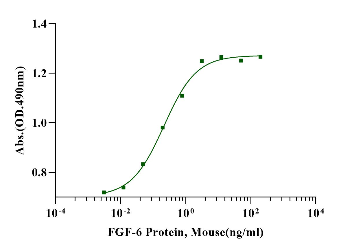FGF-6 Protein, Mouse