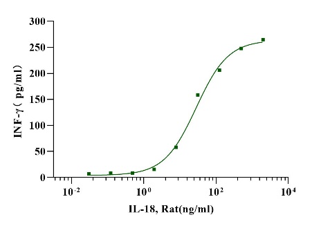 IL-18 Protein, Rat
