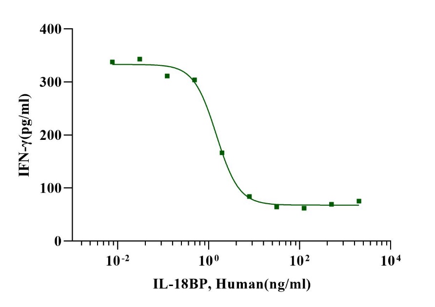IL-18BP Protein, Human