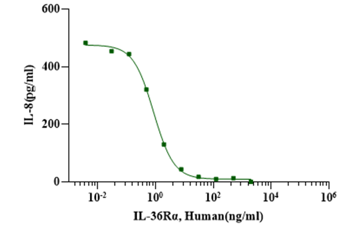 IL-36Rα Protein, Human
